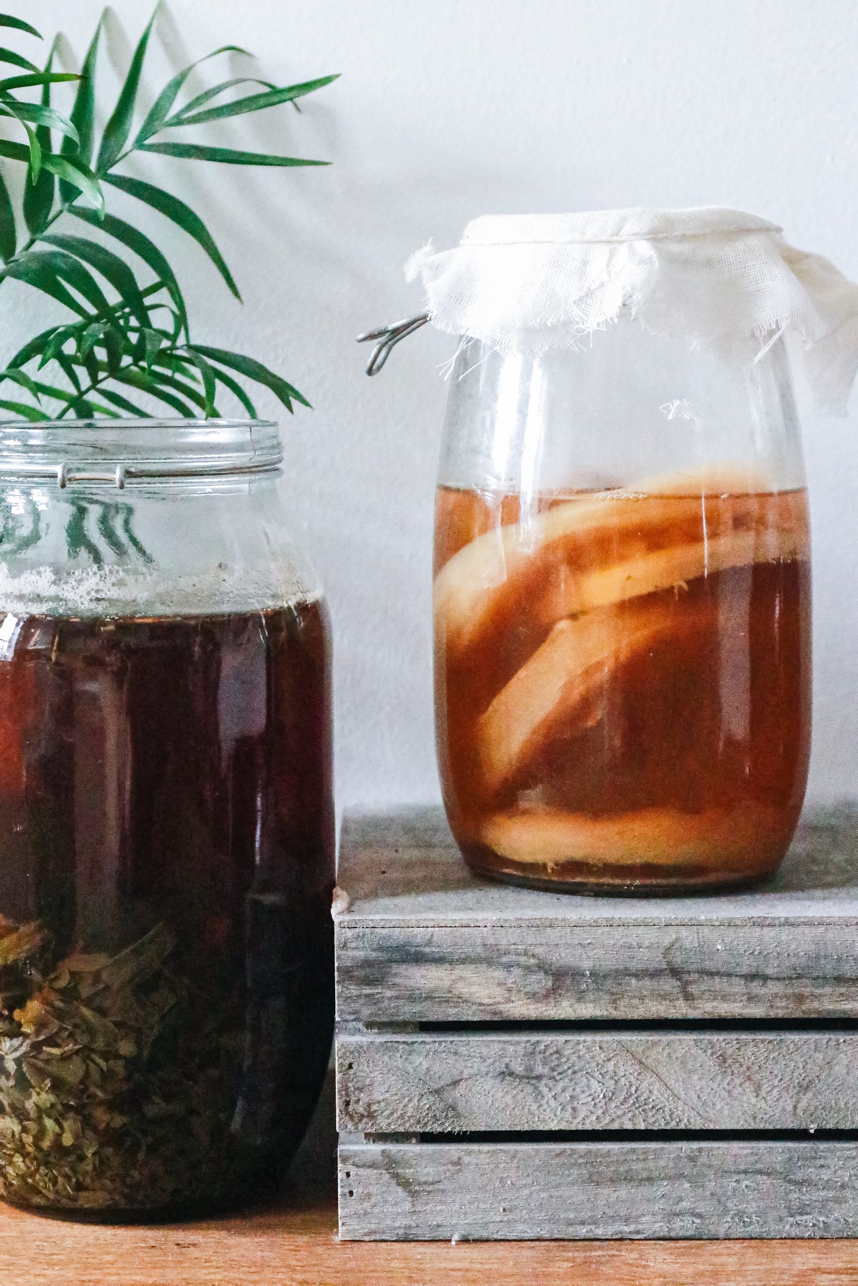Fantastic Ferments